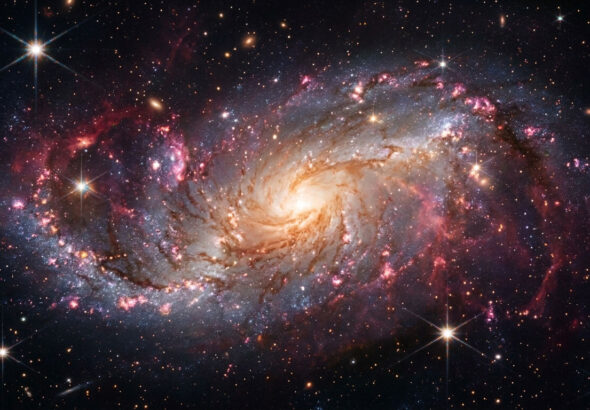galaxie-massive-XMM-VID1-2075