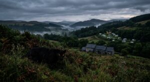 A dramatic twilight landscape of the rugged Welsh countryside, with rolling green hills, dense woodland, and misty valleys under a moody overcast sky. In the foreground, partially obscured by tall grass and undergrowth, a large black melanistic leopard crouches low, its sleek muscular form barely visible, glowing amber eyes catching the fading light. In the middle distance, a traditional Welsh stone farmhouse sits quietly, with a caravan park barely visible on the hillside beyond. The atmosphere is tense and mysterious, with fog drifting through the valleys and a sense of something wild and hidden watching from the shadows. Photorealistic wildlife photography style, cinematic lighting, deep shadows, rich greens and slate greys.