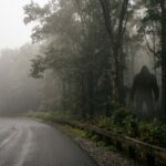 A misty early morning scene along a quiet rural road in Connecticut, bordered by a vast, dense temperate forest stretching thousands of acres. Towering oaks and hemlocks loom in the pre-dawn fog, their trunks disappearing into thick undergrowth. In the distance, partially obscured by morning mist and forest shadow, a massive, dark, upright bipedal silhouette stands at the tree line — enormous in stature, broad-shouldered, covered in dark fur — glimpsed for just a moment before the forest reclaims it. The atmosphere is eerie, liminal, and deeply atmospheric, evoking genuine unease and wonder. The road is empty except for the faint suggestion of a passing vehicle's perspective. Cinematic editorial photography style, muted earth tones, soft natural light filtering through fog, high detail on the forest texture, photorealistic quality.